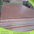 3mm 5mm 9mm 12mm 15mm 18mm Bintangor Plywood with Bbcc Grade